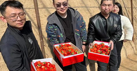 采出歡樂(lè )·莓你不行
